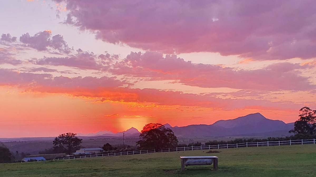 Outeniqua Moon Percheron Stud Farm Ruiterbos Exterior foto