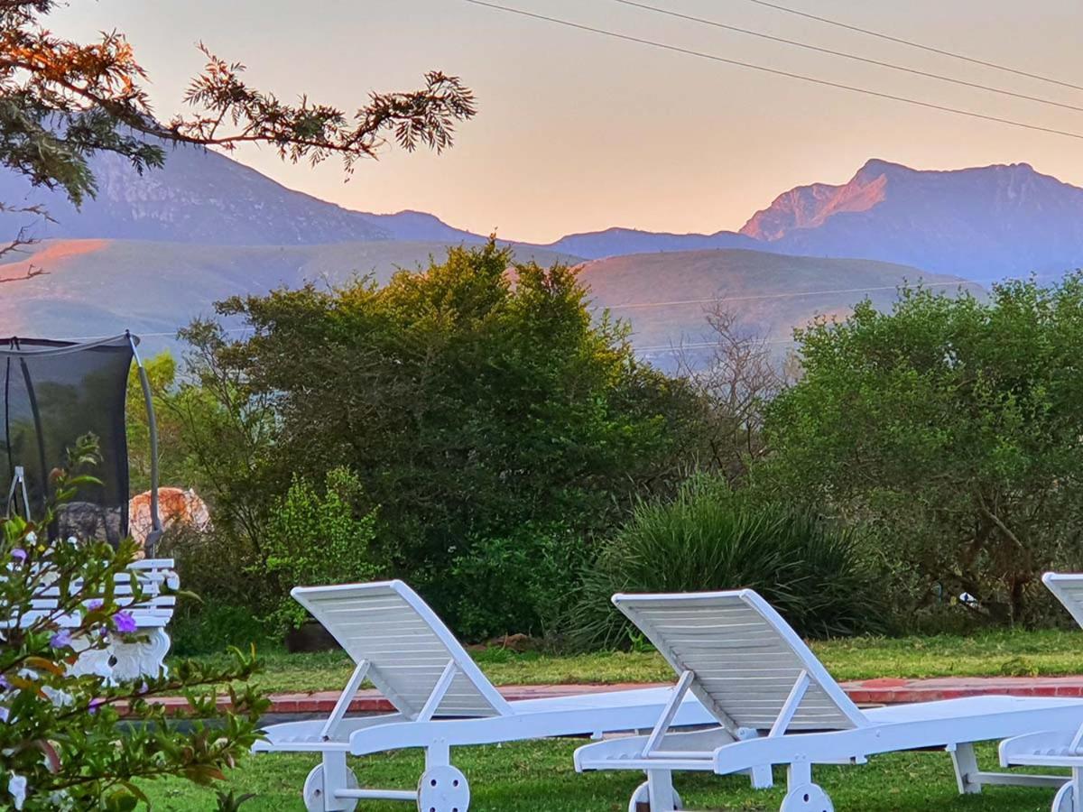 Outeniqua Moon Percheron Stud Farm Ruiterbos Exterior foto