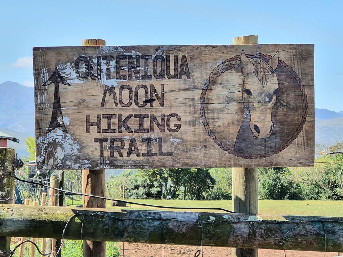 Outeniqua Moon Percheron Stud Farm Ruiterbos Exterior foto