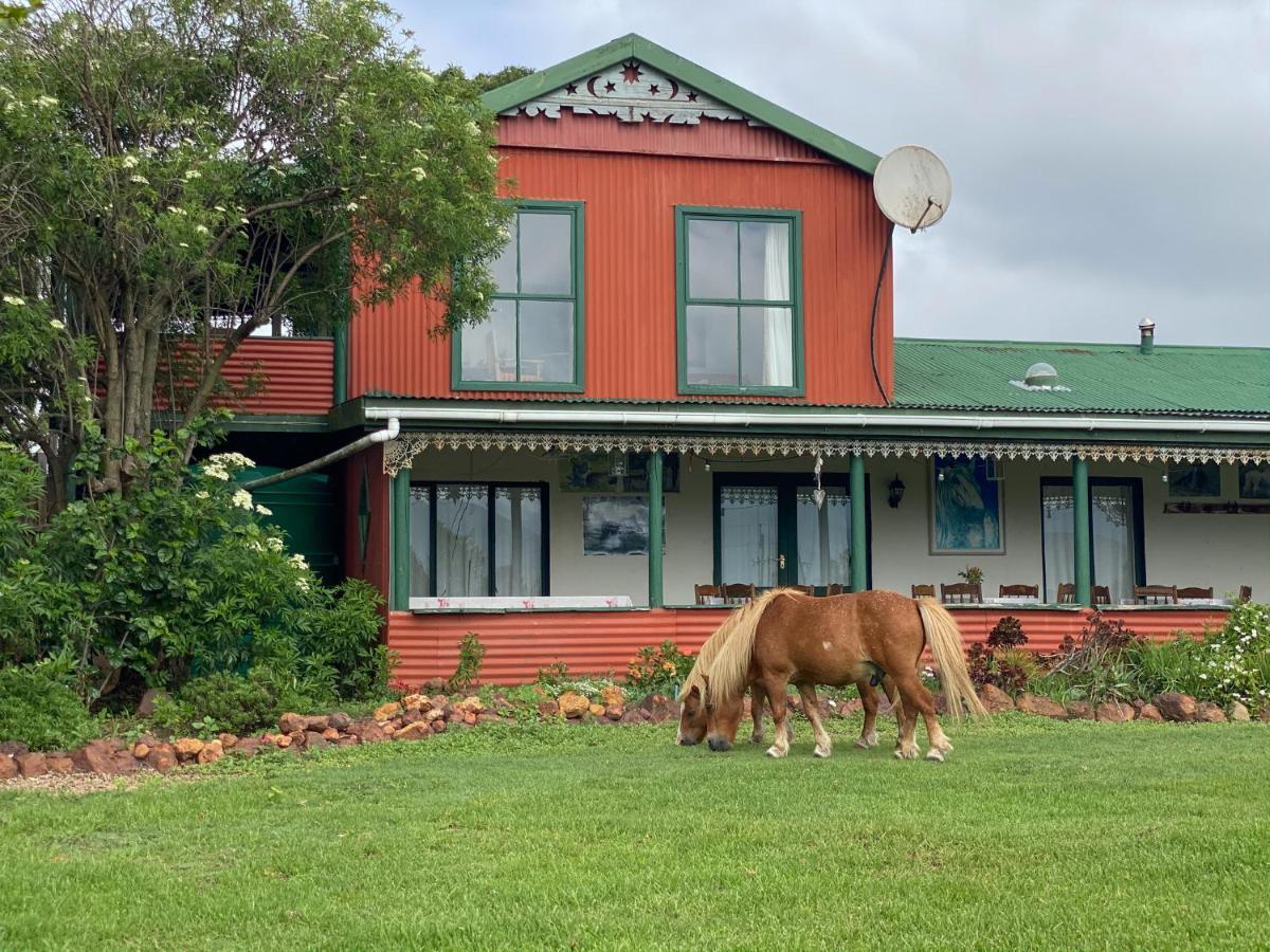 Outeniqua Moon Percheron Stud Farm Ruiterbos Exterior foto