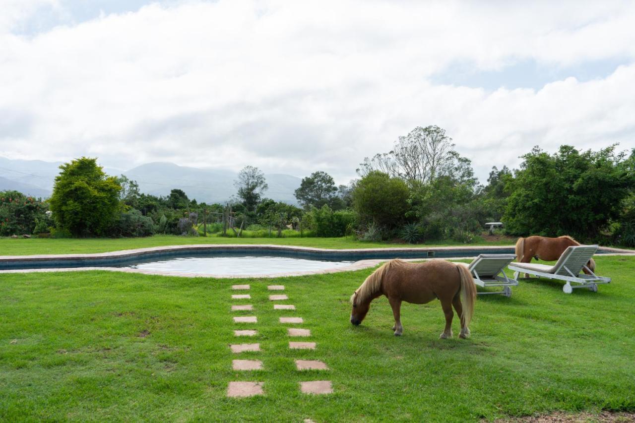 Outeniqua Moon Percheron Stud Farm Ruiterbos Exterior foto